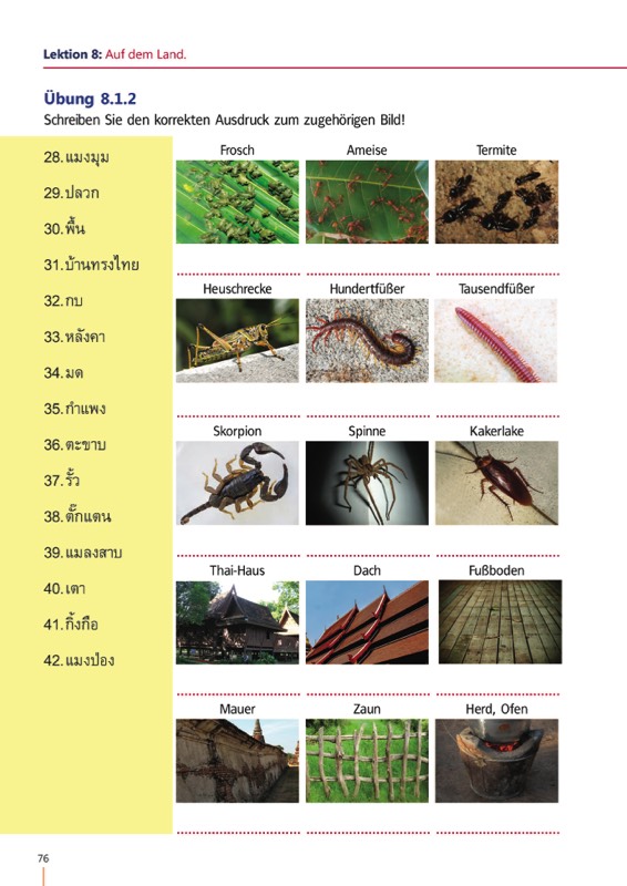 Thai Wortschatzübung zum Thema Landleben - Thai Konversation Band3